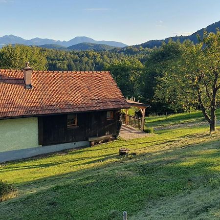 Hiska Ob Gozdu Villa Polzela Exteriör bild