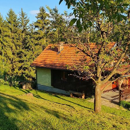 Hiska Ob Gozdu Villa Polzela Exteriör bild