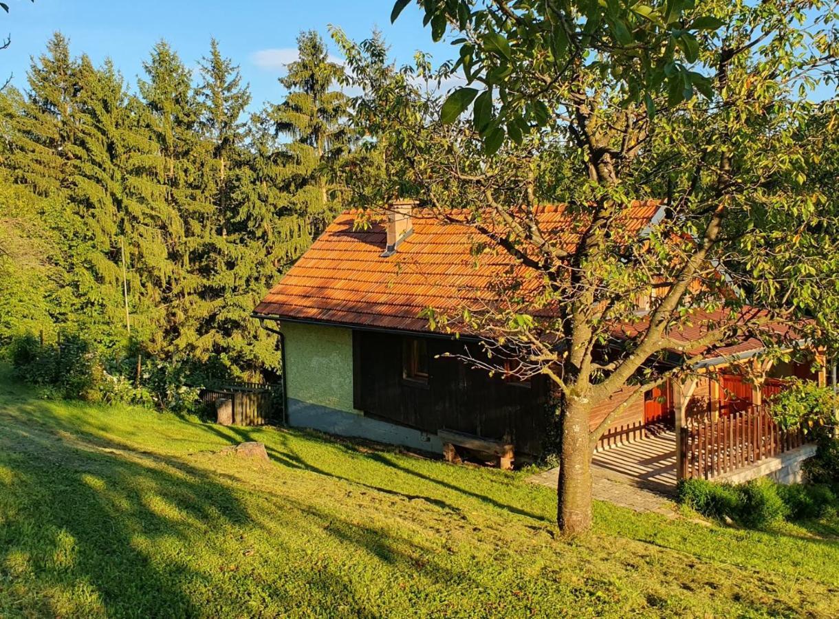 Hiska Ob Gozdu Villa Polzela Exteriör bild
