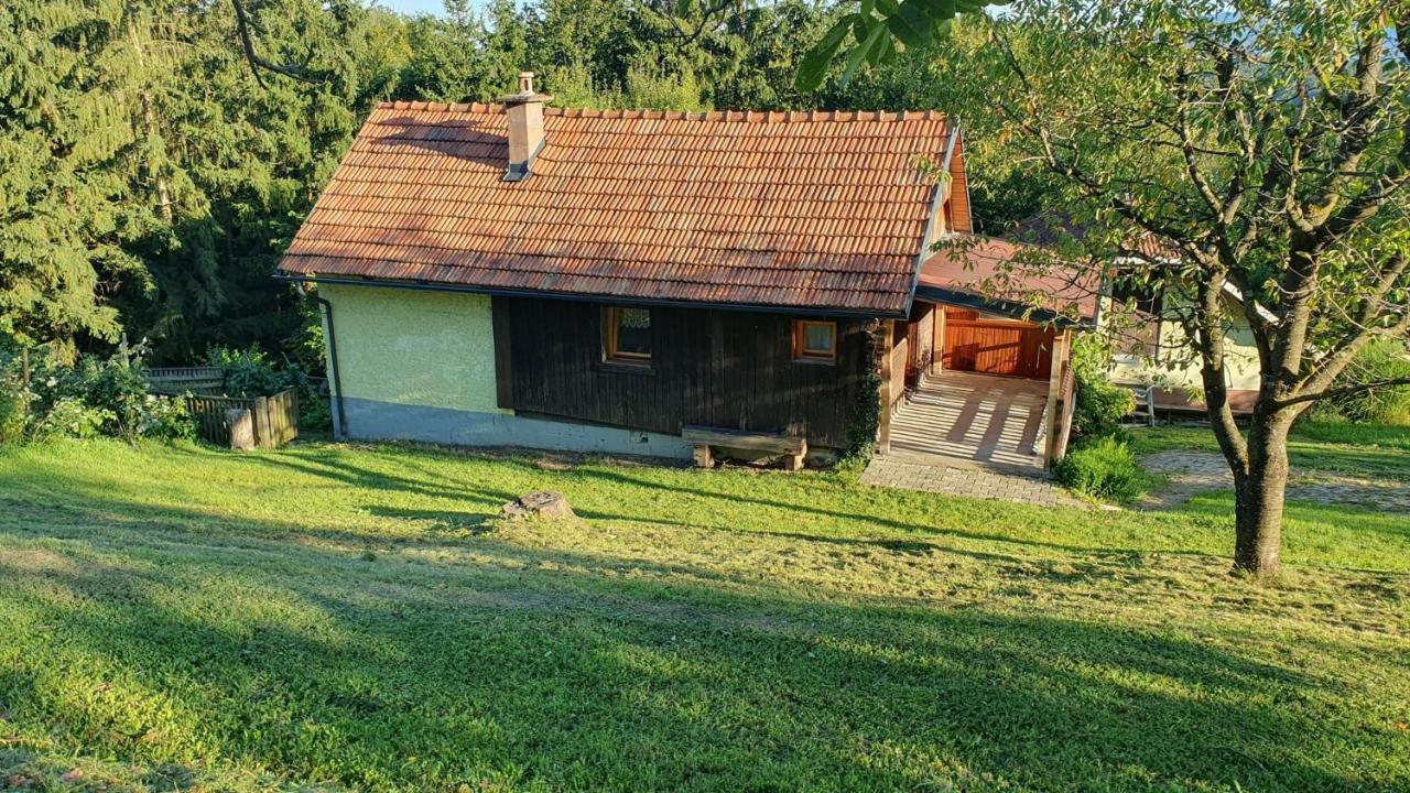 Hiska Ob Gozdu Villa Polzela Exteriör bild